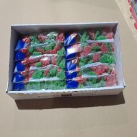 CAS ARBOL DE NAVIDAD CON AZUCAR 100Gr. 20p. P.V.P. 1EUR 